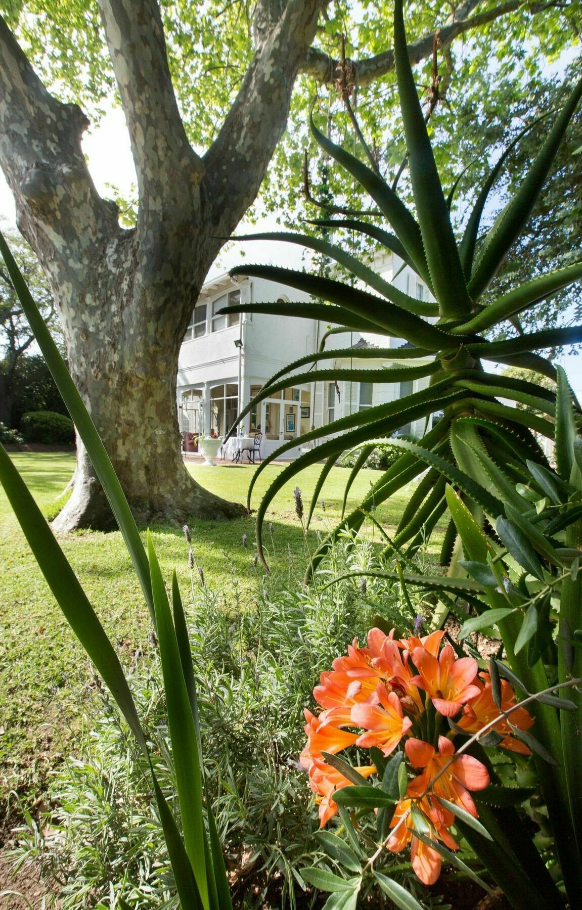 Hotel Brooklands House à Le Cap Extérieur photo